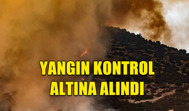 LİMASOL BÖLGESİNDE ÇIKAN YANGIN KONTROL ALTINA ALINDI