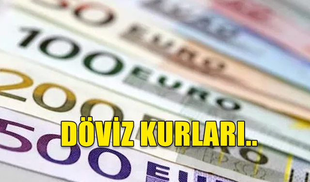 DÖVİZ KURLARI (25.09.2023)