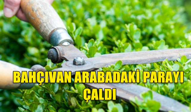 BAHÇIVAN ARABADAKİ PARAYI ÇALDI