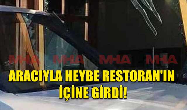 ARACIYLA HEYBE RESTORAN'IN İÇİNE GİRDİ!