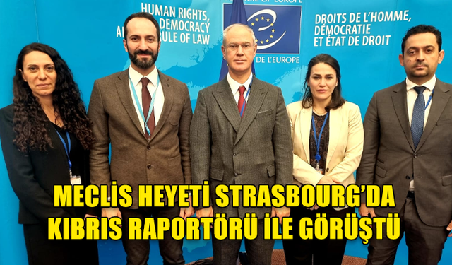 MECLİS HEYETİ STRASBOURG’DA KIBRIS RAPORTÖRÜ İLE GÖRÜŞTÜ