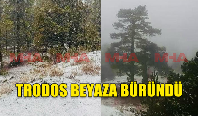 TRODOS'TA KAR YAĞIŞI DEVAM EDİYOR..