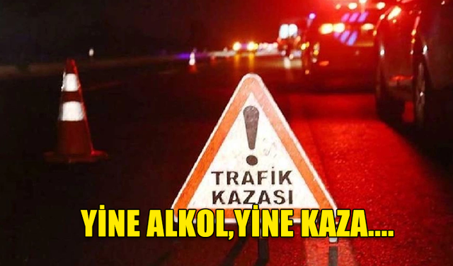 ALKOLLÜ SÜRÜCÜNÜN YOL AÇTIĞI KAZADA İKİ KİŞİ YARALANDI