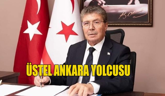 "Ortak projeler görüşülecek"