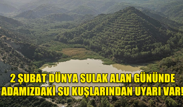 2 ŞUBAT DÜNYA SULAK ALAN GÜNÜNDE ADAMIZDAKİ SU KUŞLARINDAN UYARI VAR!