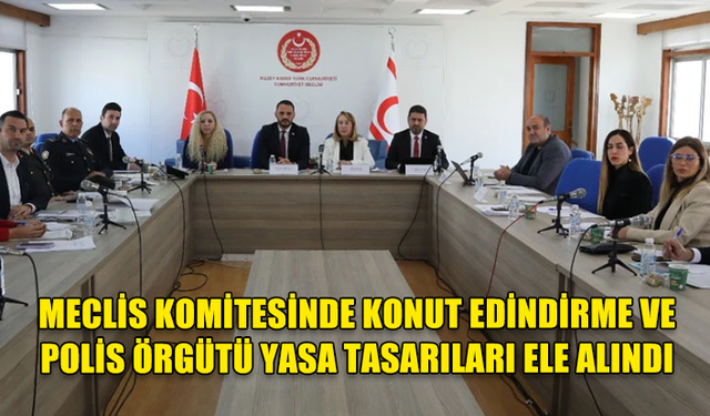 MECLİS KOMİTESİNDE KONUT EDİNDİRME VE POLİS ÖRGÜTÜ YASA TASARILARI ELE ALINDI