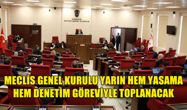 MECLİS GENEL KURULU YARIN HEM YASAMA HEM DENETİM GÖREVİYLE TOPLANACAK