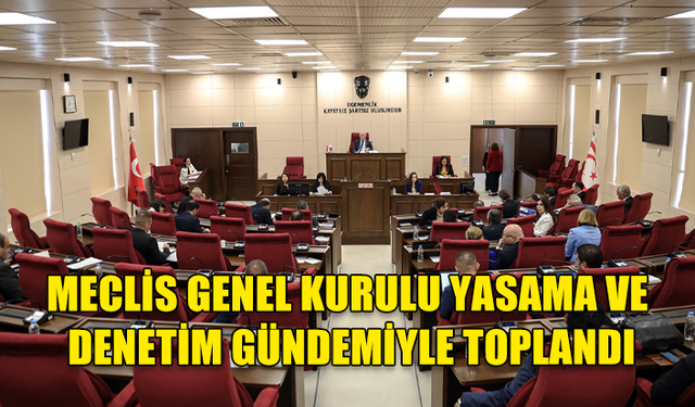 MECLİS GENEL KURULU YASAMA VE DENETİM GÜNDEMİYLE TOPLANDI