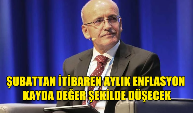 MEHMET ŞİMŞEK: ŞUBATTAN İTİBAREN AYLIK ENFLASYON KAYDA DEĞER ŞEKİLDE DÜŞECEK