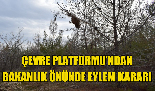 Çevre Platformu  bugün Lefke’de yarın Tarım ve Doğal Kaynaklar Bakanlığı önünde eylem yapacak