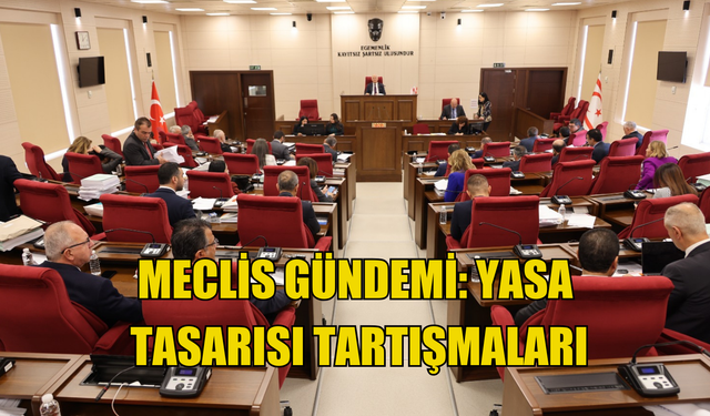 Meclis Gündemi: Yasa tasarısı tartışmaları