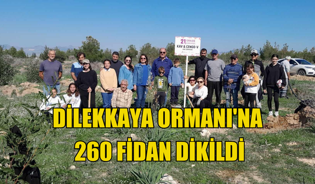 Dilekkaya Ormanı'na 260 fidan dikildi