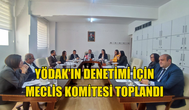 Yükseköğretim kurumlarının denetimi için Meclis Komitesi toplandı