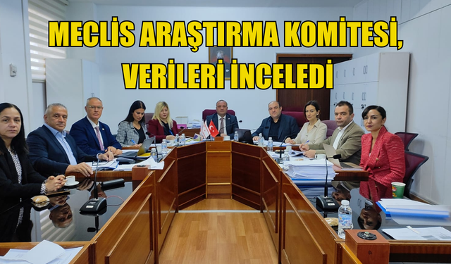 Meclis Araştırma Komitesi, İstatistik Kurumu verilerini inceledi