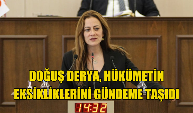 CTP Milletvekili Doğuş Derya, hükümetin eksikliklerini gündeme taşıdı