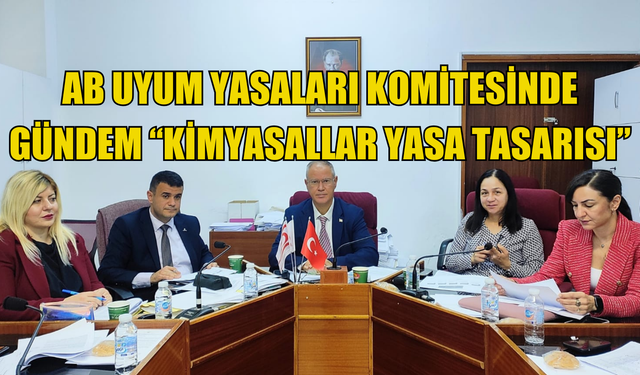 AB Uyum Yasaları Komitesinde  gündem “Kimyasallar Yasa Tasarısı”