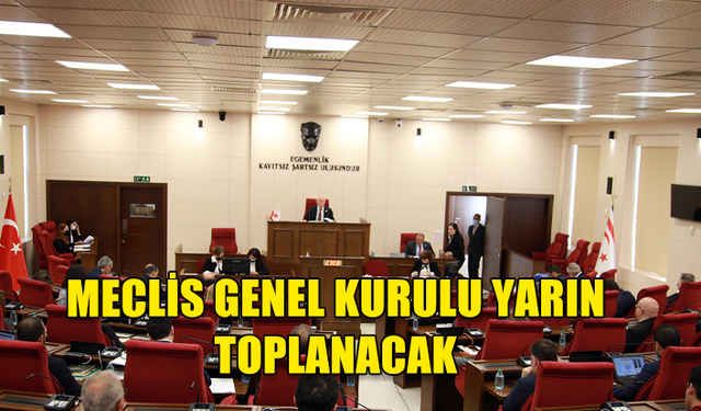 Meclis Genel Kurulu yarın toplanacak