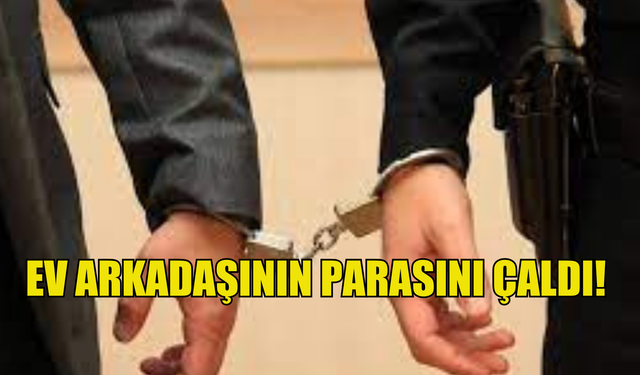 Ev arkadaşına ait parayı çaldı