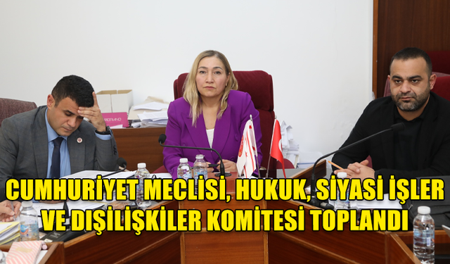 Cumhuriyet Meclisi, Hukuk, Siyasi İşler ve Dışilişkiler Komitesi toplandı