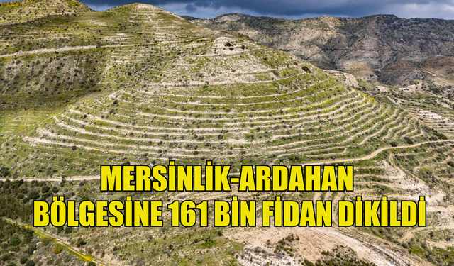 Mersinlik-Ardahan bölgesine 161 bin fidan dikildi