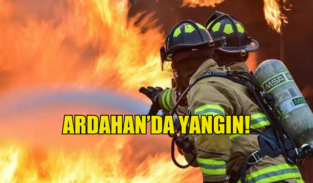 Ardahan'da yangın