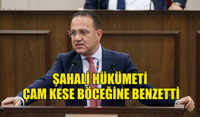 Şahali hükümeti çam kese böceğine benzetti