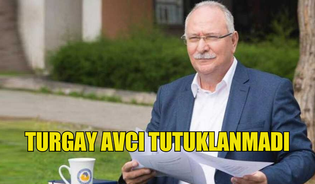 Turgay Avcı tutuklanmadı