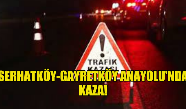 Serhatköy-Gayretköy Anayolu'nda kaza