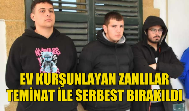 Alayköy'de ev kurşunlayan zanlılar teminatla serbest bırakıldı !