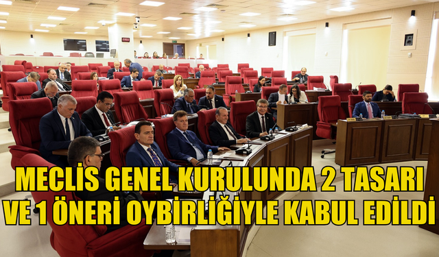 Meclis Genel Kurulunda 2 tasarı ve 1 öneri oybirliğiyle kabul edildi