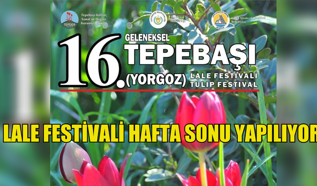 16. Tepebaşı (Yorgoz) Lale Festivali hafta sonu yapılıyor