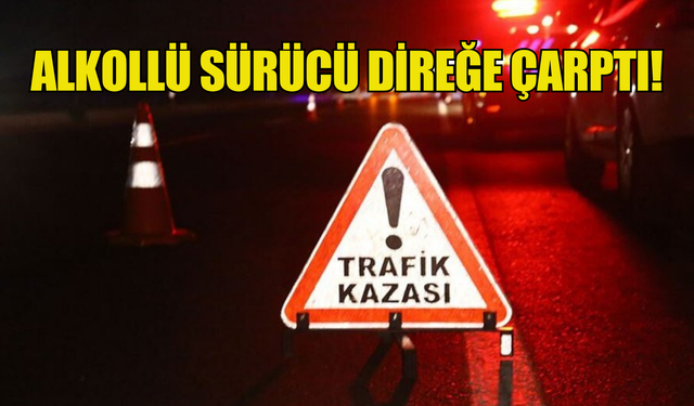 Alkollü sürücü orte reflüjdeki direğe çarptı!