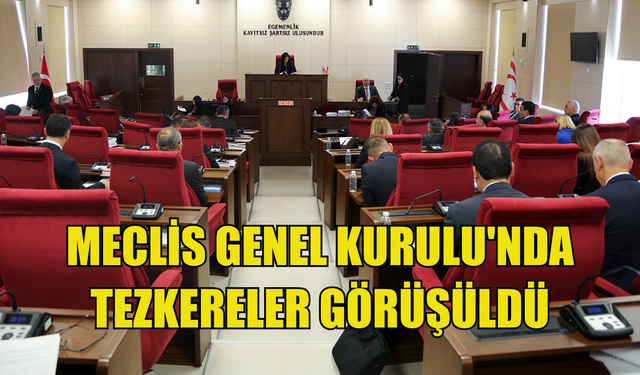 Meclis Genel Kurulu'nda tezkereler görüşüldü