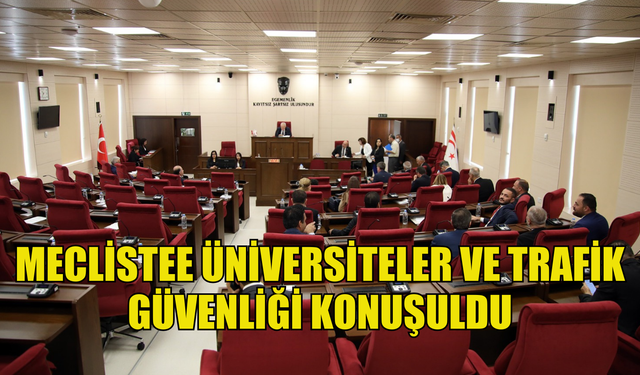 Mecliste üniversiteler ve trafik güvenliği konuşuldu