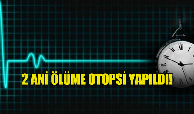 2 ani ölüme ilişkin otopsi sonuçları açıklandı