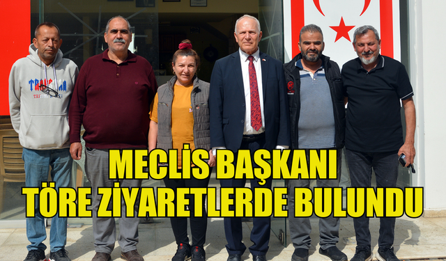 Meclis Başkanı Töre, bazı sivil toplum örgütlerini ve Surlariçi esnafını ziyaret etti