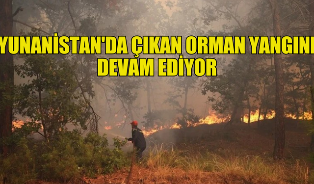 Yunanistan'da çıkan orman yangını devam ediyor