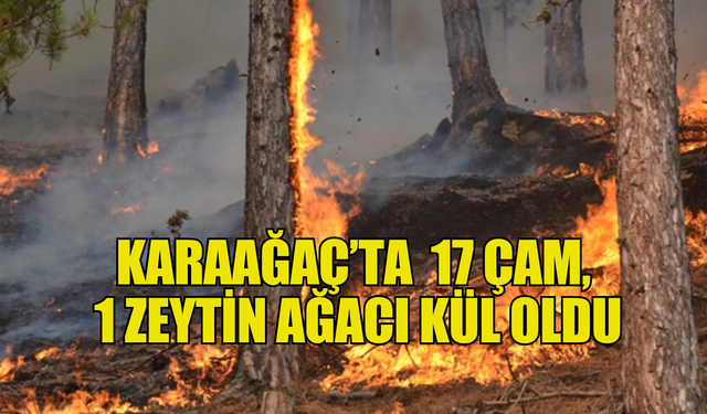 Karaağaç’ta yangın!