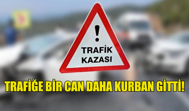 Trafik kazalarına bir can daha kurban gitti!