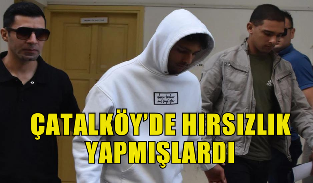 ÇATALKÖY'DE BEYAZ EŞYA VE GİYİM EŞYASI ÇALAN ZANLILARA EK TUTUKLULUK VERİLDİ