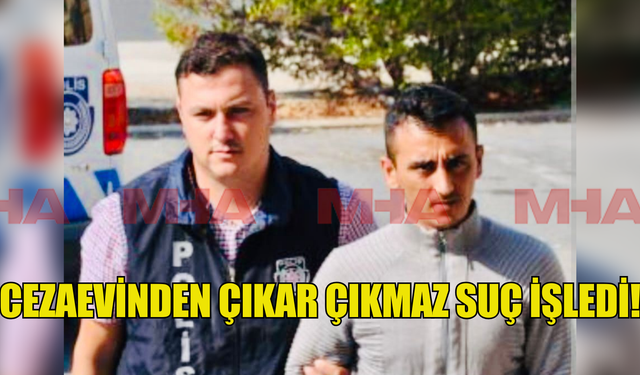 Cezaevinden çıkan şahıs yeniden suç işledi