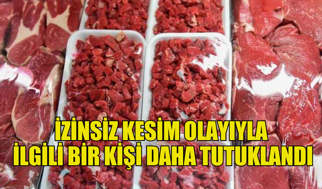 İZİNSİZ KESİM OLAYIYLA  İLGİLİ BİR KİŞİ DAHA TUTUKLANDI