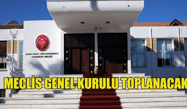 Meclis Genel Kurulu toplanacak