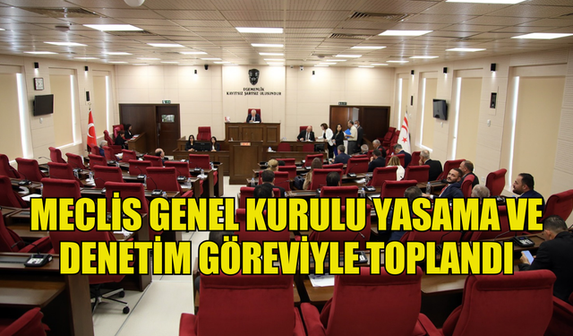 MECLİS GENEL KURULU YASAMA VE DENETİM GÖREVİYLE TOPLANDI