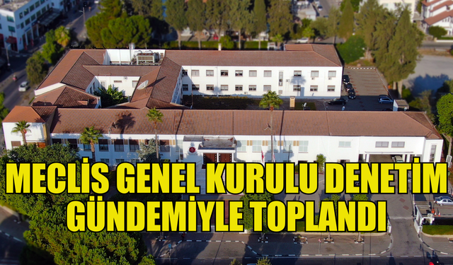 Meclis Genel Kurulu denetim gündemiyle toplandı