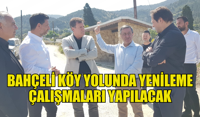 Bahçeli köy yolunda yenileme çalışmaları yapılacak