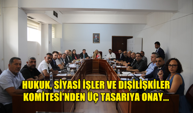 HUKUK, SİYASİ İŞLER VE DIŞİLİŞKİLER KOMİTESİ'NDEN ÜÇ TASARIYA ONAY...