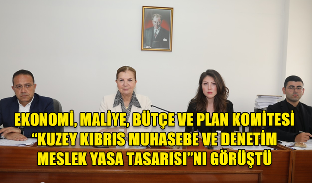 EKONOMİ, MALİYE, BÜTÇE VE PLAN KOMİTESİ “KUZEY KIBRIS MUHASEBE VE DENETİM MESLEK YASA TASARISI”NI GÖRÜŞTÜ