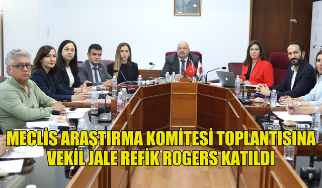 MECLİS ARAŞTIRMA KOMİTESİ TOPLANTISINA  VEKİL JALE REFİK ROGERS KATILDI