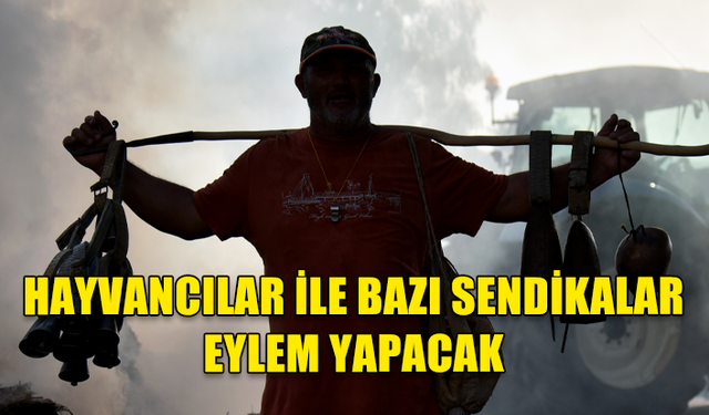 HAYVANCILAR İLE BAZI SENDİKALAR PAZARTESİ GÜNÜ BAŞBAKANLIK ÖNÜNDE EYLEM YAPACAK